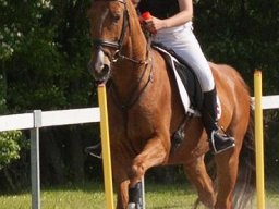 img-00571-542